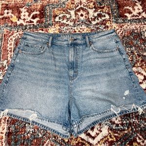 American Eagle Size 16 Mom Shorts